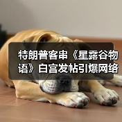 特朗普客串《星露谷物语》白宫发帖引爆网络热议（图4）