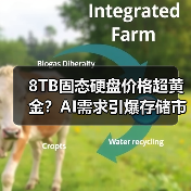 8TB固态硬盘价格超黄金？AI需求引爆存储市场（图1）