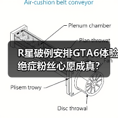 R星破例安排GTA6体验 绝症粉丝心愿成真？（图2）