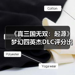 《真三国无双：起源》梦幻四英杰DLC评分出炉：新角色武器是否值得体验？（图2）