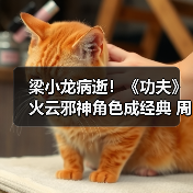 梁小龙病逝！《功夫》火云邪神角色成经典 周星驰悼念（图4）