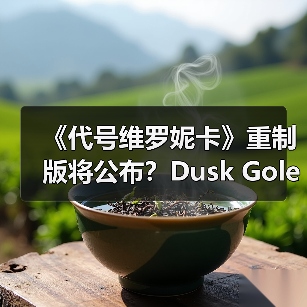 《代号维罗妮卡》重制版将公布？Dusk Golem打包票（图3）