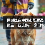 保时捷在中国市场遭遇销量“四连跌” 豪门今不如昔(图4) 保时捷在中国市场遭遇销量“四连跌” 豪门今不如昔(图4)