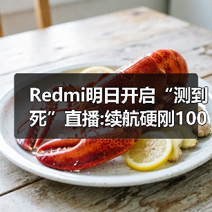 Redmi明日开启“测到死”直播:续航硬刚10000mAh竞品(图3) Redmi明日开启“测到死”直播:续航硬刚10000mAh竞品(图3)