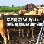 索尼将GTA6视作独占游戏 排期调整如何影响销量？（图2）