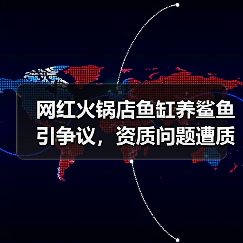 网红火锅店鱼缸养鲨鱼引争议,资质问题遭质疑(图2) 网红火锅店鱼缸养鲨鱼引争议,资质问题遭质疑(图2)