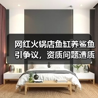 网红火锅店鱼缸养鲨鱼引争议,资质问题遭质疑(图4) 网红火锅店鱼缸养鲨鱼引争议,资质问题遭质疑(图4)