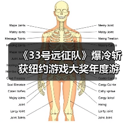 《33号远征队》爆冷斩获纽约游戏大奖年度游戏奖(图2) 《33号远征队》爆冷斩获纽约游戏大奖年度游戏奖(图2)