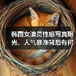 韩国女演员性感写真曝光，人气暴涨背后有何秘密？（图4）