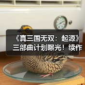 《真三国无双:起源》三部曲计划曝光!续作覆盖五丈原(图4) 《真三国无双:起源》三部曲计划曝光!续作覆盖五丈原(图4)