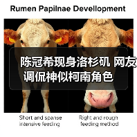 陈冠希现身洛杉矶 网友调侃神似柯南角色(图2) 陈冠希现身洛杉矶 网友调侃神似柯南角色(图2)
