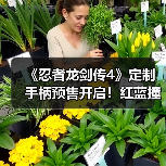《忍者龙剑传4》定制手柄预售开启!红蓝撞色打造掌中艺术(图1) 《忍者龙剑传4》定制手柄预售开启!红蓝撞色打造掌中艺术(图1)
