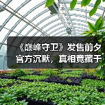 《巅峰守卫》发售前夕官方沉默,真相竟藏于此?(图3) 《巅峰守卫》发售前夕官方沉默,真相竟藏于此?(图3)