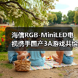 海信RGB-MiniLED电视携手国产3A游戏共绘江湖美学(图4) 海信RGB-MiniLED电视携手国产3A游戏共绘江湖美学(图4)