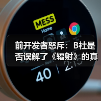 前开发者怒斥：B社是否误解了《辐射》的真正精神？（图4）