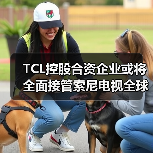 TCL控股合资企业或将全面接管索尼电视全球运营，电视产业格局将重塑？（图4）