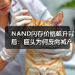 NAND闪存价格飙升背后:巨头为何反向减产?(图3) NAND闪存价格飙升背后:巨头为何反向减产?(图3)