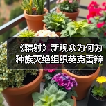 《辐射》新观众为何为种族灭绝组织英克雷辩护?(图4) 《辐射》新观众为何为种族灭绝组织英克雷辩护?(图4)