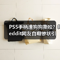 PS5手柄遭狗狗撕咬？Reddit网友自嘲惨状引热议（图2）