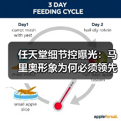 任天堂细节控曝光:马里奥形象为何必须领先?(图2) 任天堂细节控曝光:马里奥形象为何必须领先?(图2)