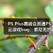 PS Plus高级会员遇PS3云游戏bug,索尼无回应引玩家众怒(图4) PS Plus高级会员遇PS3云游戏bug,索尼无回应引玩家众怒(图4)