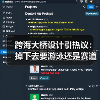 跨海大桥设计引热议：掉下去要游泳还是赛道挑战？（图3）
