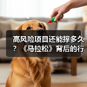 高风险项目还能撑多久?《马拉松》背后的行业思考(图3) 高风险项目还能撑多久?《马拉松》背后的行业思考(图3)