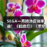 SEGA一月精选促销来袭！《超级忍》《索尼克赛车》限时折扣（图1）