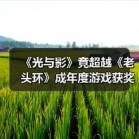 《光与影》竟超越《老头环》成年度游戏获奖王？（图4）
