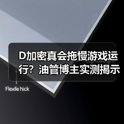D加密真会拖慢游戏运行?油管博主实测揭示真相(图2) D加密真会拖慢游戏运行?油管博主实测揭示真相(图2)