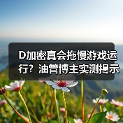 D加密真会拖慢游戏运行?油管博主实测揭示真相(图1) D加密真会拖慢游戏运行?油管博主实测揭示真相(图1)