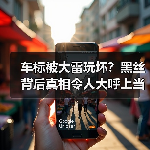 车标被大雷玩坏？黑丝背后真相令人大呼上当（图2）
