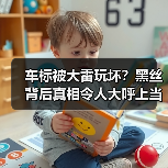 车标被大雷玩坏？黑丝背后真相令人大呼上当（图3）