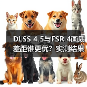 DLSS 4.5与FSR 4画质差距谁更优？实测结果揭晓（图1）