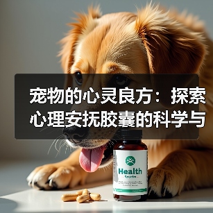 游侠资讯游戏活动参与建议与奖励获取方法 2026最新指南
