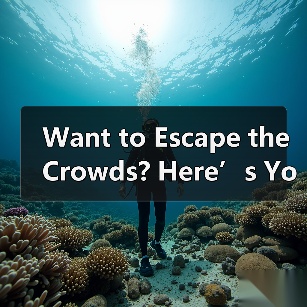 Want to Escape the Crowds? Here’s Your Step-by-Step Alian Bangchuidao Island Travel Guide(图4) Want to Escape the Crowds? Here’s Your Step-by-Step Alian Bangchuidao Island Travel Guide(图4)
