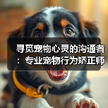寻觅宠物心灵的沟通者:专业宠物行为矫正师招募启事(图1) 寻觅宠物心灵的沟通者:专业宠物行为矫正师招募启事(图1)