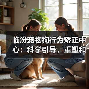 临汾宠物狗行为矫正中心:科学引导,重塑和谐共生(图4) 临汾宠物狗行为矫正中心:科学引导,重塑和谐共生(图4)
